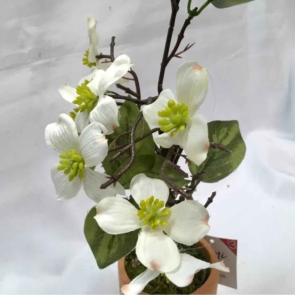 Decorative Mini Tree - Picture 5 of 5